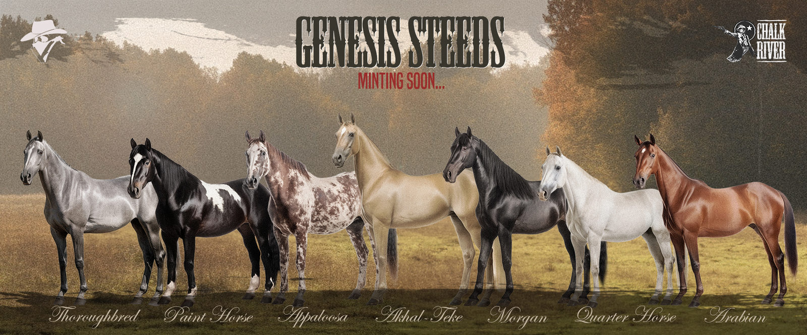 An overview of Chalk Rivers Genesis Horses