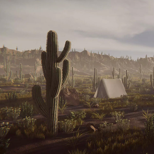 Desert Biome