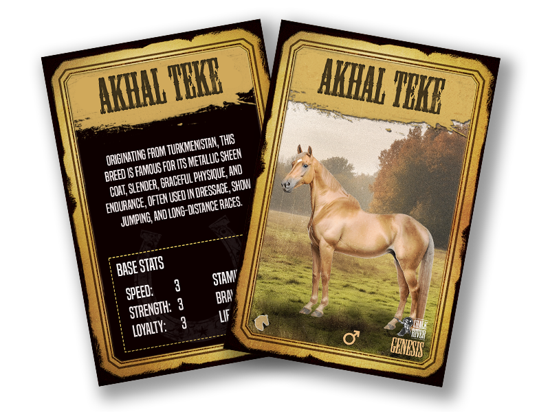 An Akhal Teke mount NFT card, front and back, showing race stats
